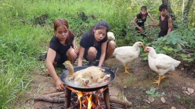 Survival in rainforest, Catch and cook chicken for jungle food, Chicken soup chili so delicious food