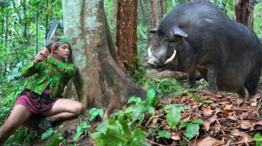 101 days of survival in the wild, wild boar trapping, wild chicken hunting, primitive survival