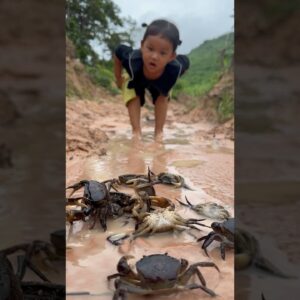 Survival Skills: single mom with a lot of crabs🦀🦀in forest #singlemom #survival #camping #outdoors