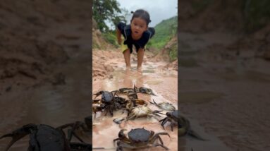 Survival Skills: single mom with a lot of crabs🦀🦀in forest #singlemom #survival #camping #outdoors