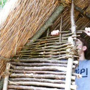 primitive technology bushcraft shelter building #shorts #bushcraft #hut #shelter #building #house