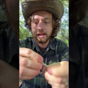 Making a rawhide bowstring part 2 #outdoors #bushcraft #primitive #survival #camping #archery