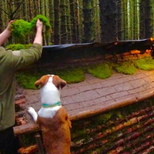 Building a warm and cozy log shelter in the woods using bushcraft techniques