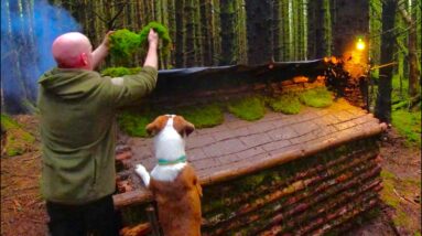 Building a warm and cozy log shelter in the woods using bushcraft techniques