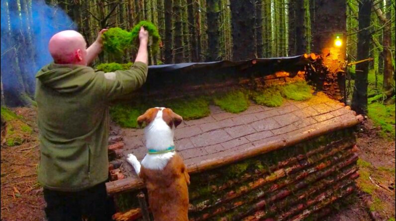 Building a warm and cozy log shelter in the woods using bushcraft techniques