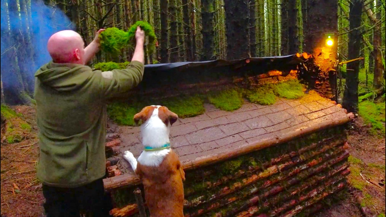 Building a warm and cozy log shelter in the woods using bushcraft techniques