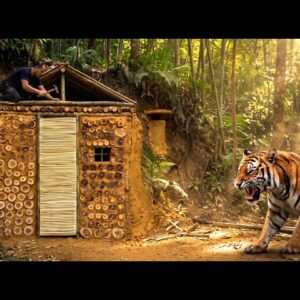 Building a hidden earth shelter dug into a hillside using natural materials for wilderness survival