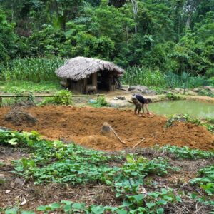 Off-grid farm being rebuilt during heavy rain while living off the grid
