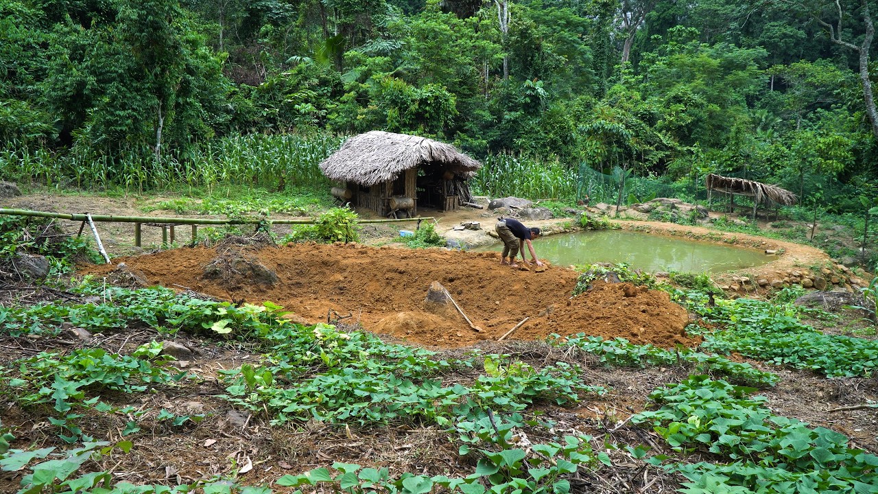 Off-grid farm being rebuilt during heavy rain while living off the grid