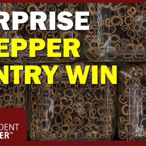 Prepper pantry essentials and bulk food storage items from Costco for emergency preparedness