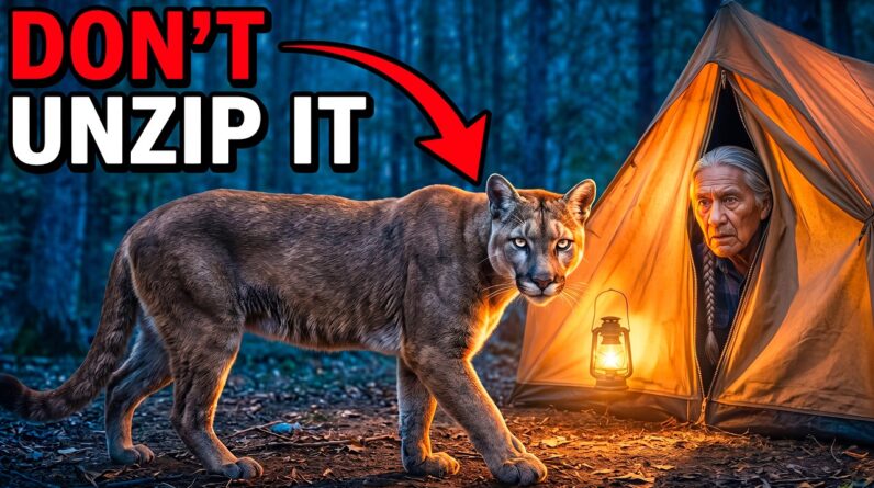Campsite at night with a tent lit from within, illustrating what to do when you hear footsteps near your tent