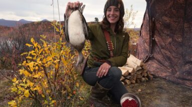 Remote Alaska moose hunting camp with hot tent along a wild river system