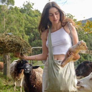 Off-grid farm in the Australian rainforest showing the realities of homestead life including baby goats born and storm roof damage
