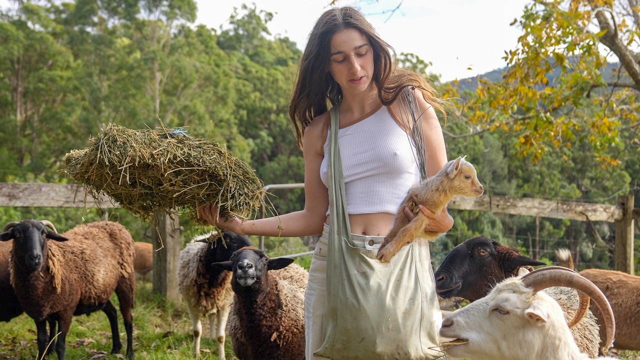Off-grid farm in the Australian rainforest showing baby goats and storm damage to shed roof