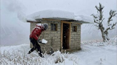Stone survival shelter with a snow-covered roof nestled among snow-covered pine trees in a winter forest